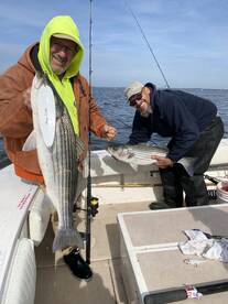The striped bass bite  