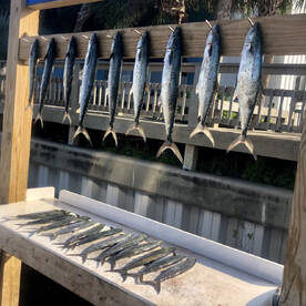 Destin Report Photo 1