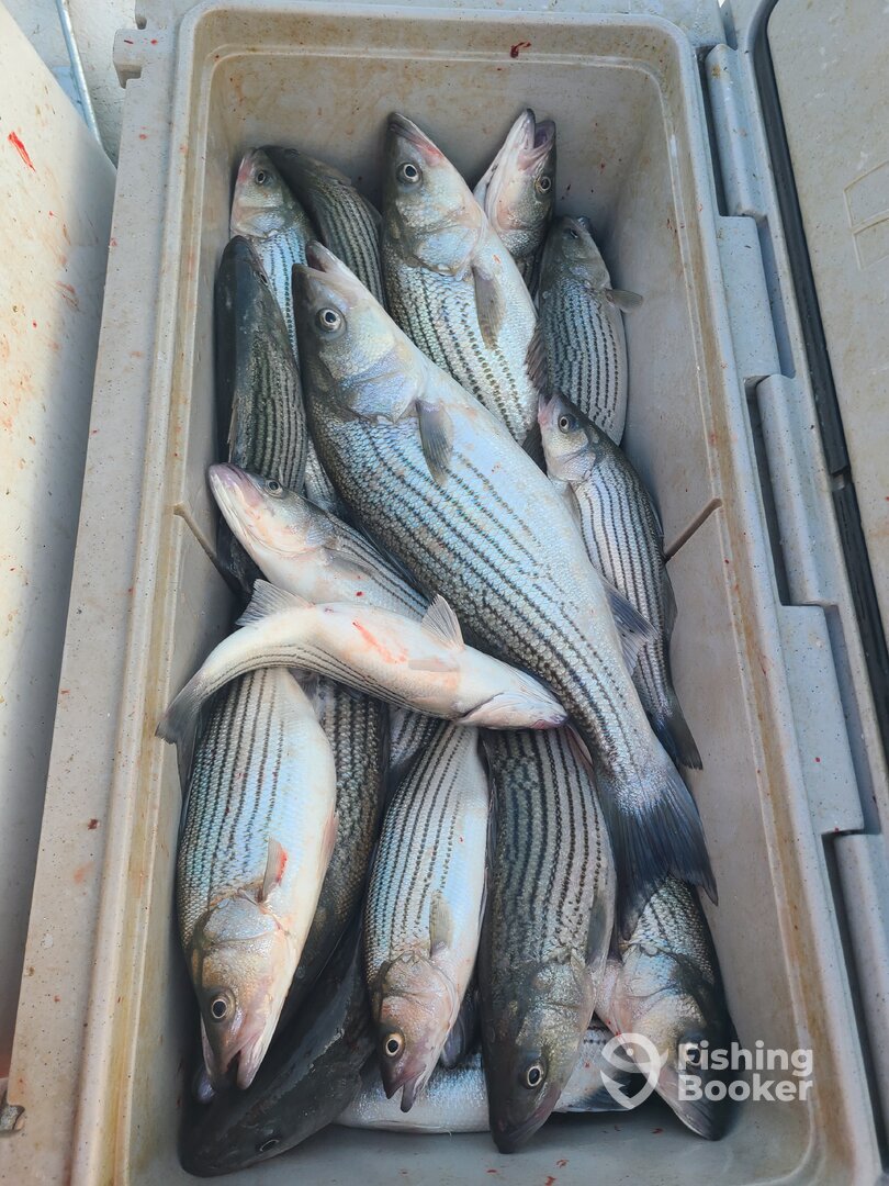 Pottsboro Report Photo 0