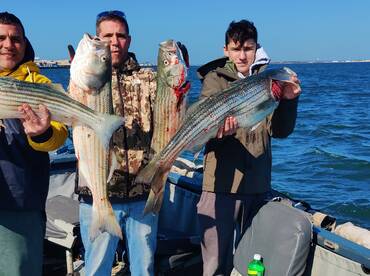 Mastic Report Photo 1