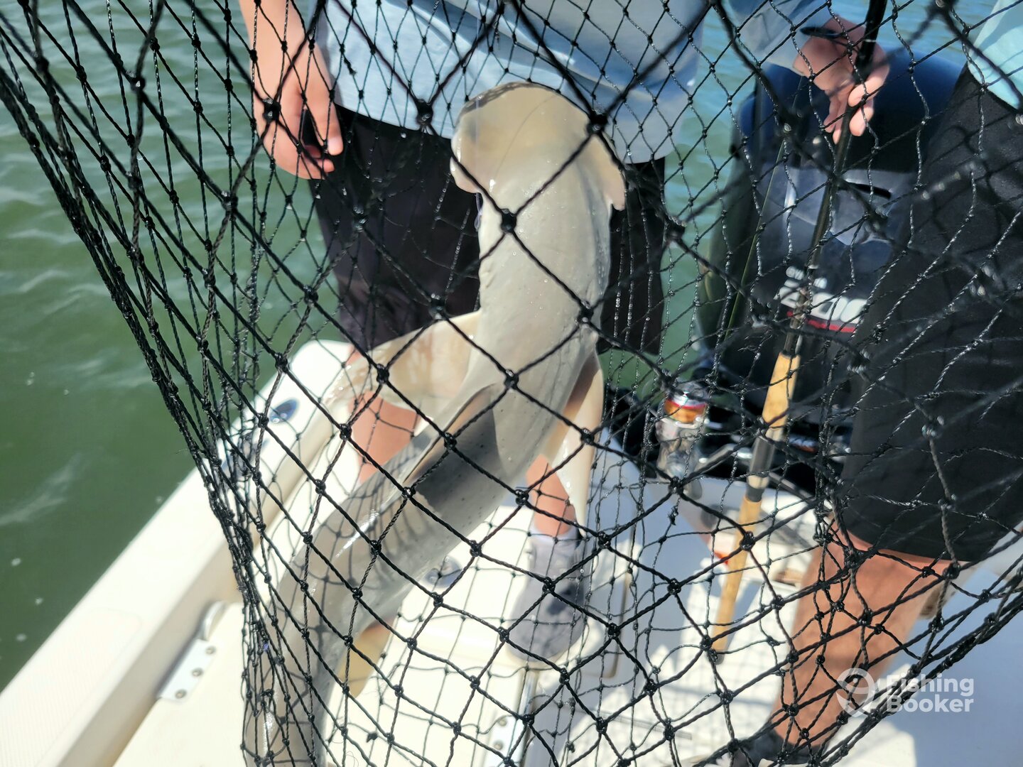 Port Orange Report Photo 0