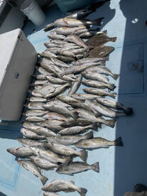 Biloxi Report Photo 1