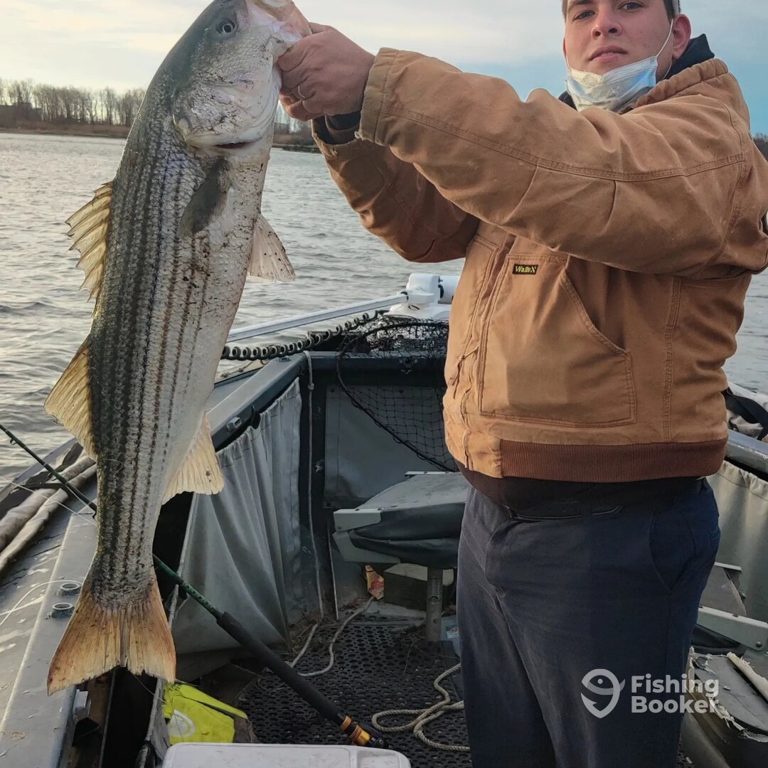 Mastic Report Photo 0