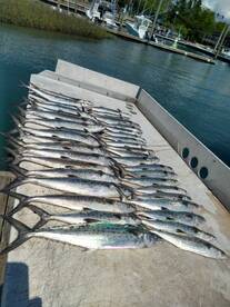 Report or 4/23/22- 4/26/22   Spanish mac