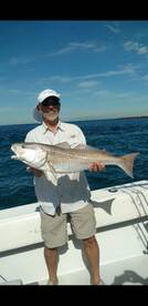 Bull Reds!