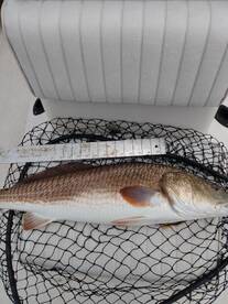 Panama City Beach Report Photo 2