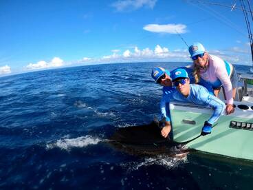 Quepos Report Photo 1