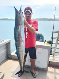 Wahoo in season now!!