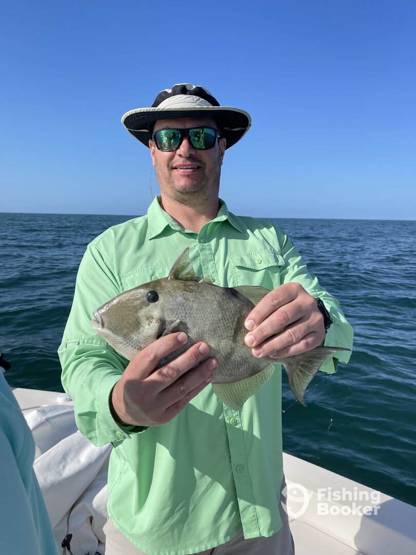 Clearwater Report Photo 0
