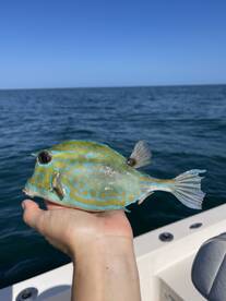 Clearwater Report Photo 2