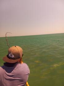 Wanchese Report Photo 1