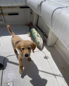 Los Angeles Report Photo 1