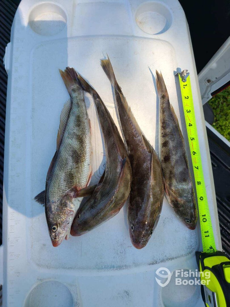Emerald Isle Report Photo 0
