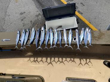 Emerald Isle Report Photo 2