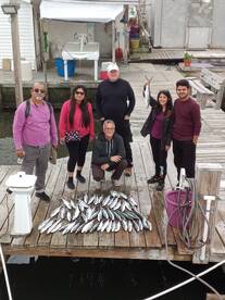 The Spanish mackerel are here!