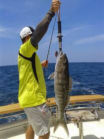 Fish for lunch