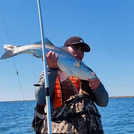 Mastic Report Photo 2