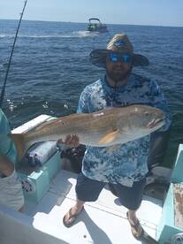 Destin Report Photo 1