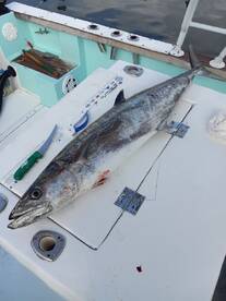 Destin Report Photo 2