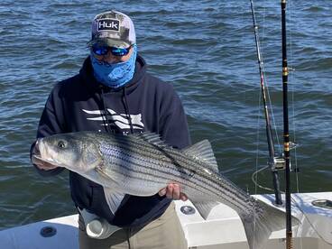 Highlands Report Photo 1