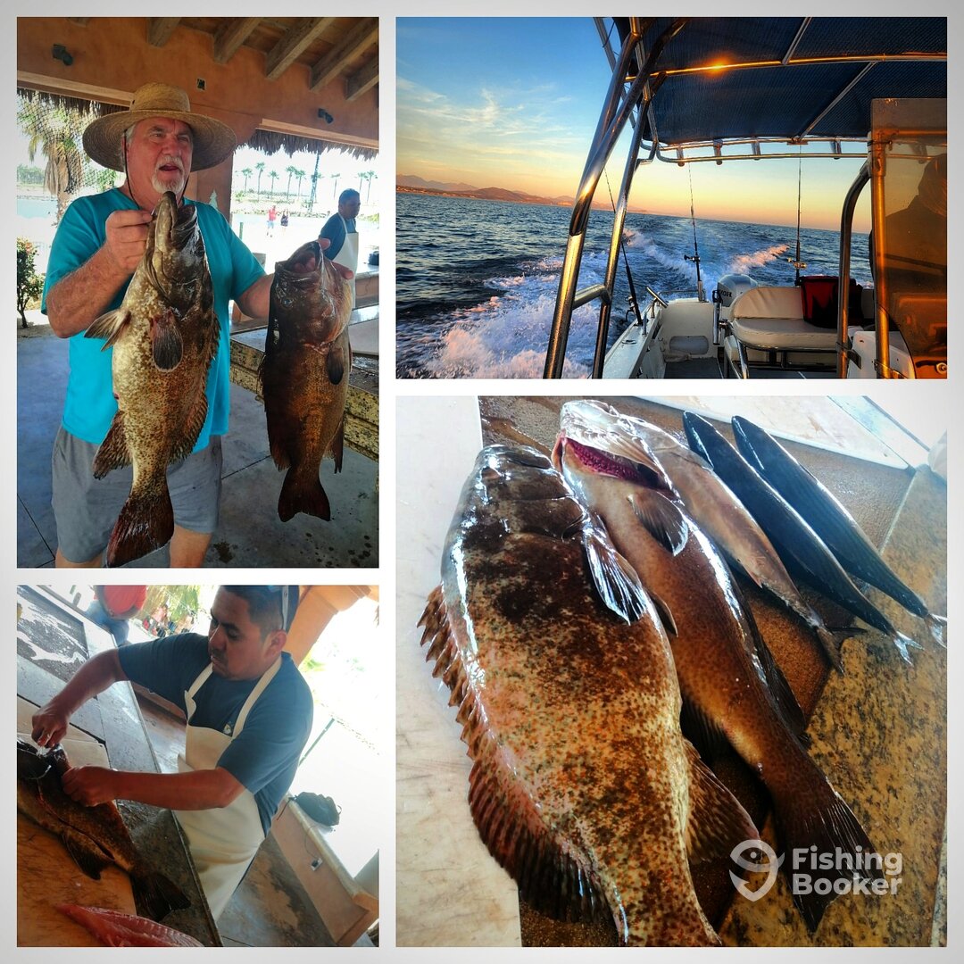 San Jose del Cabo Report Photo 0