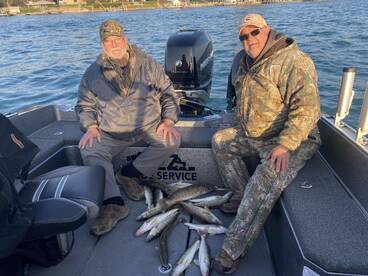 Detroit river walleye!!