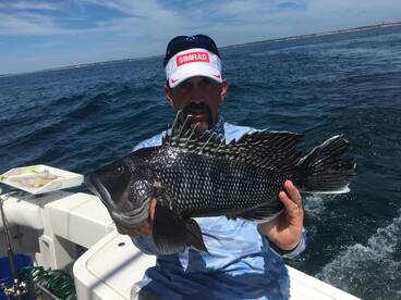 Montauk Report Photo 1