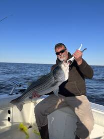 Big Stripers moving into the Bay