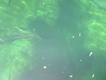 Fishing with Ellie & Greg