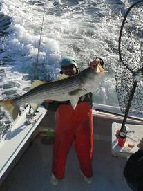 Montauk Report Photo 2