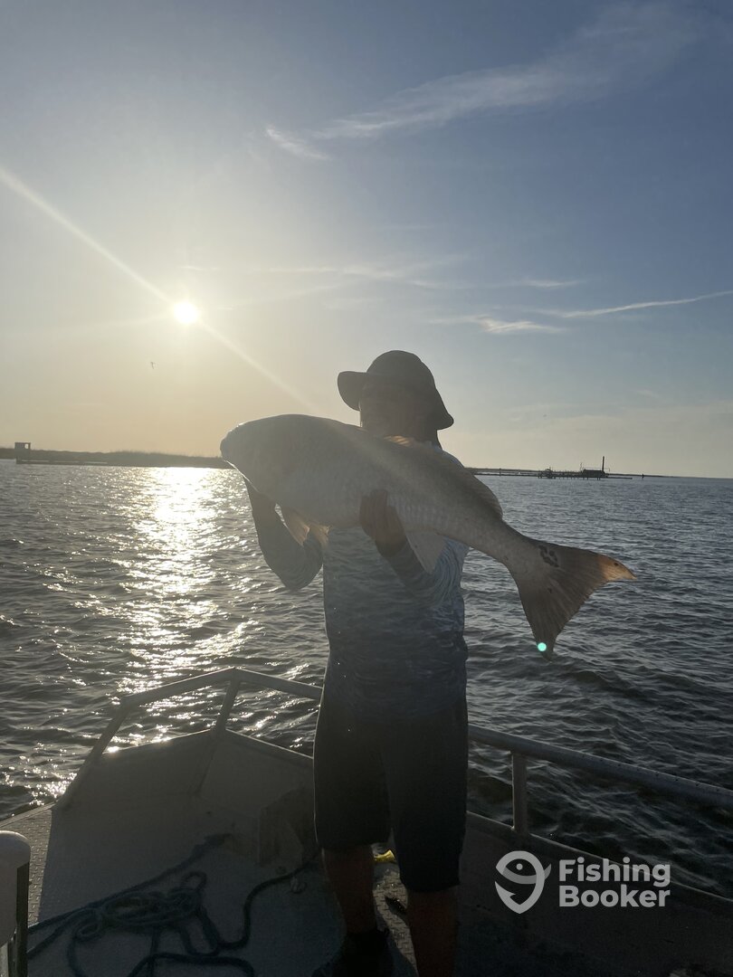 Lafitte Report Photo 0
