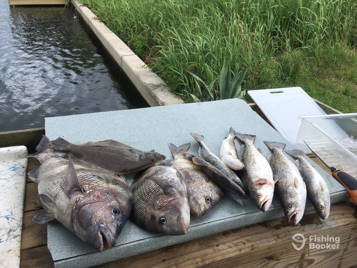 Slidell Report Photo 0