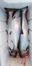 Awesome fishing!!