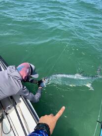 Herman Lucerne Tarpon Cup & Backcountry 