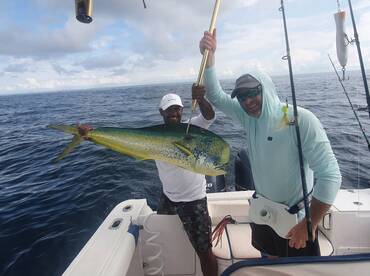 It's raining Mahi Mahi!!!