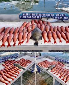 Shalimar Report Photo 2