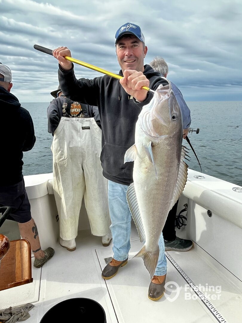 Virginia Beach Report Photo 0