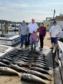 Virginia Beach Report Photo 2