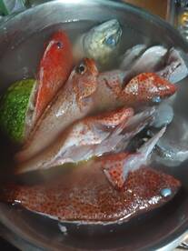 Today was a good day for fishing