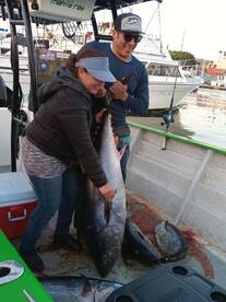 Ensenada Report Photo 2