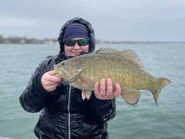 Buffalo Report Photo 2