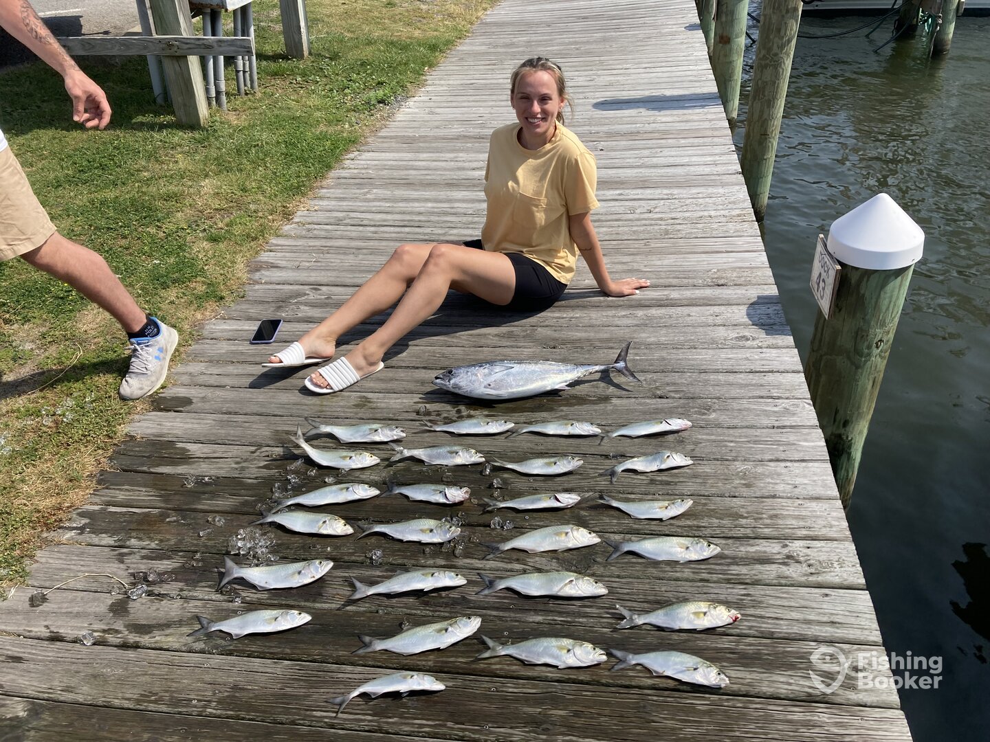 Nags Head Report Photo 0