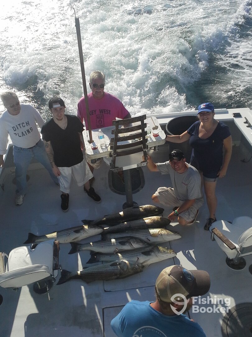 Montauk Report Photo 0