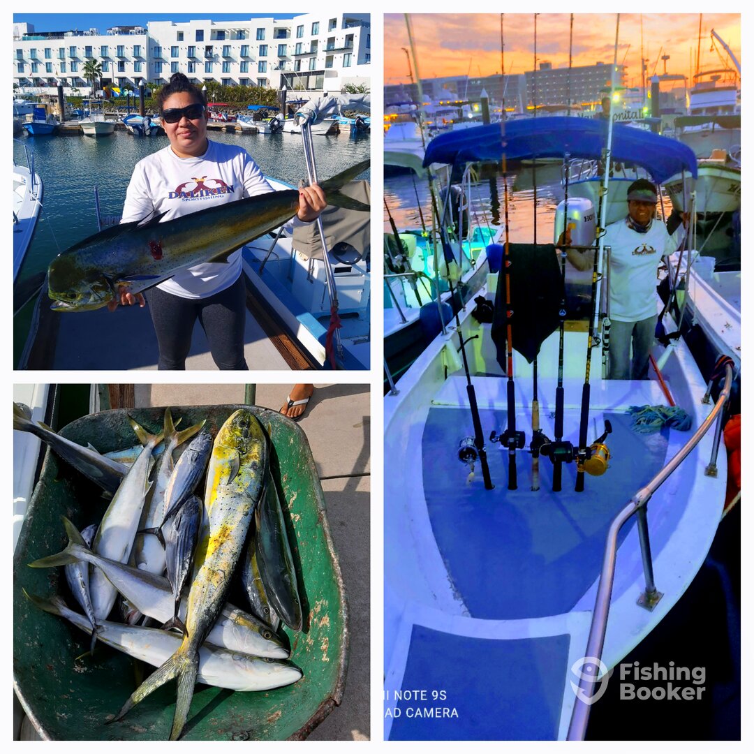 San Jose del Cabo Report Photo 0
