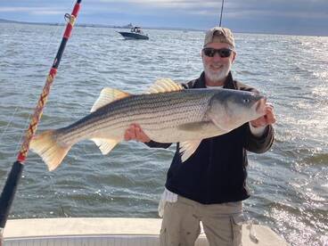 Striper fishing has been insane