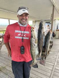 The big trout are in  