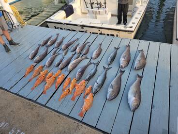 Opening day tile fish! 