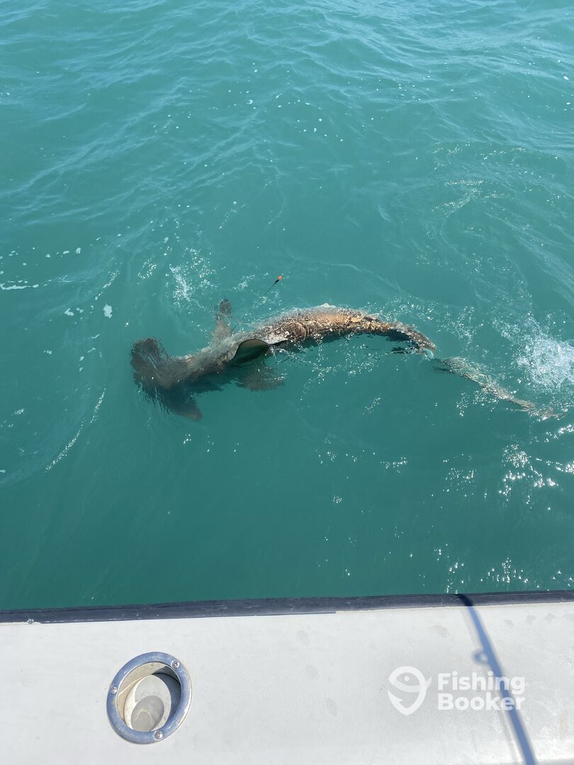 Port Canaveral Report Photo 0