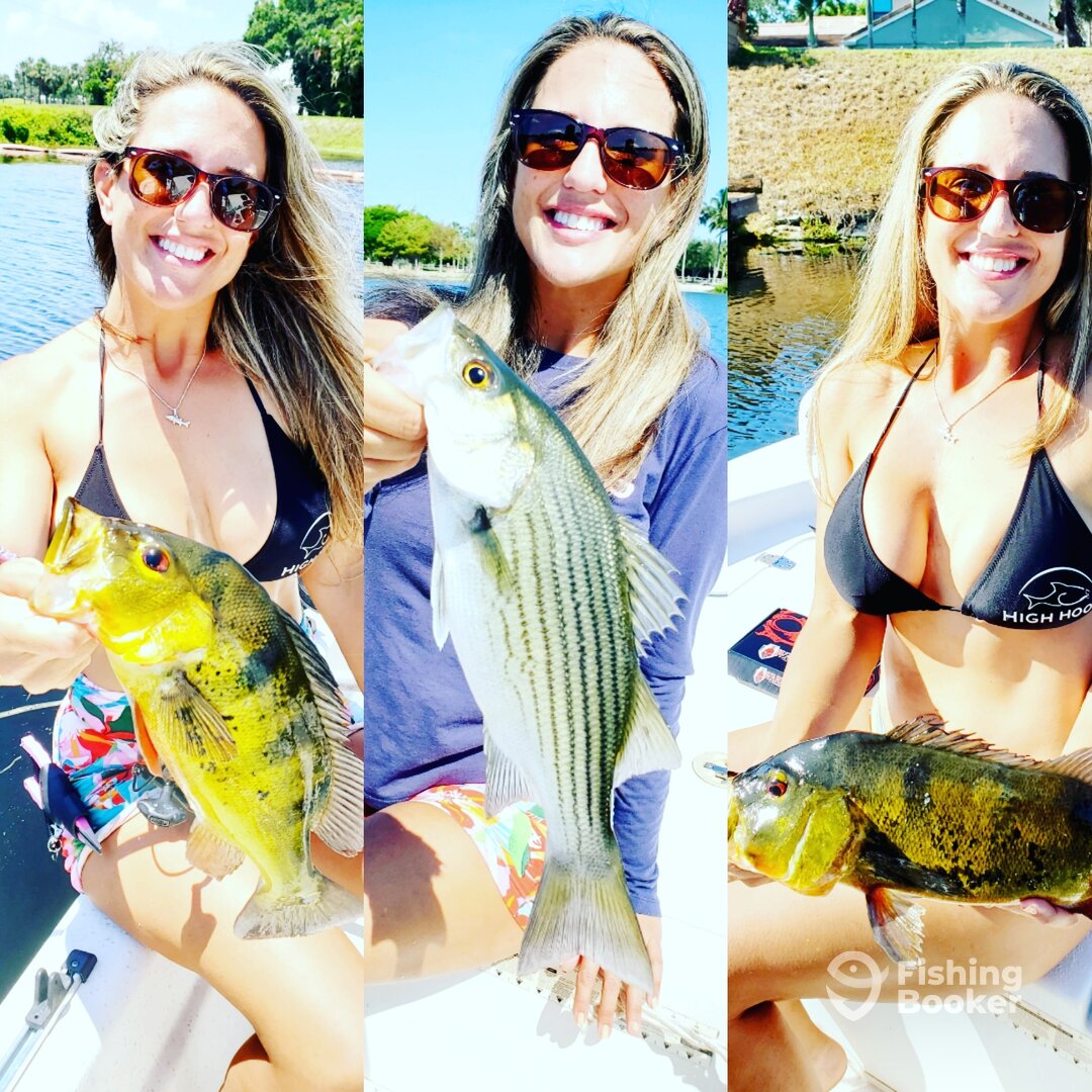 Delray Beach Report Photo 0