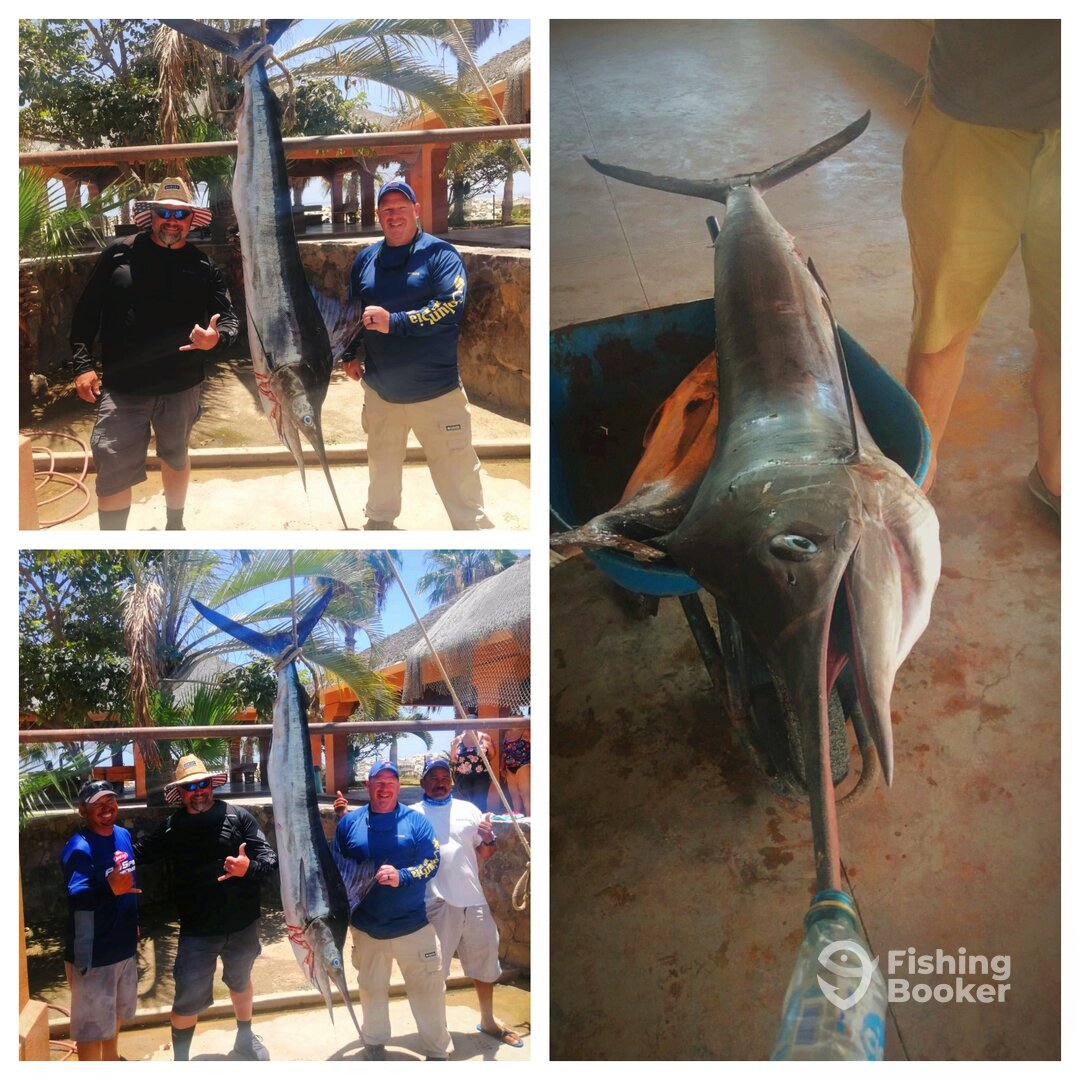 San Jose del Cabo Report Photo 0